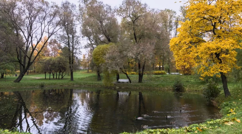 ЖК Усадьба на Ланском